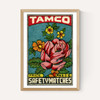 Tamco Rose