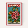Tamco Rose