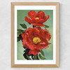 Paeonia Suffruticosa 1950s Wide Oak Frame