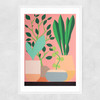 Plants and Pottery Narrow White Frame