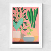 Plants and Pottery Medium White Frame