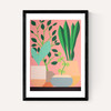 Plants and Pottery