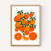Orange Harvest