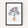 Potted Roses