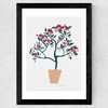 Potted Roses Wide Black Frame