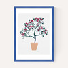 Potted Roses