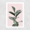 Foliage Unframed Print