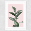 Foliage Wide White Frame