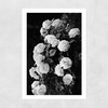 Rose Bush Unframed Print
