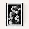 Rose Bush