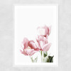 Tulips Narrow White Frame
