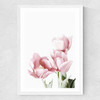 Tulips Medium White Frame