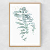 Eucalyptus 2 Narrow Oak Frame