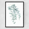 Eucalyptus 2 Narrow Black Frame
