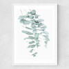 Eucalyptus 2 Medium White Frame