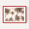 Palm Trees