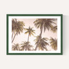 Palm Trees