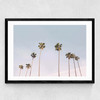 California Vibes Medium Black Frame