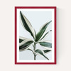Foliage 1