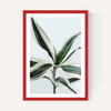 Foliage 1