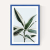 Foliage 1