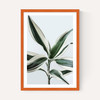 Foliage 1