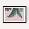 Tropical by Sisi and Seb