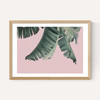 Tropical by Sisi and Seb