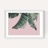 Tropical by Sisi and Seb