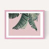 Tropical by Sisi and Seb