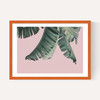 Tropical by Sisi and Seb