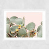 Blooming Cactus Narrow White Frame
