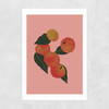 Apples