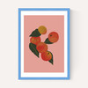 Apples
