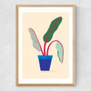 House Plant Medium Oak Frame