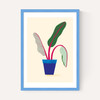 House Plant