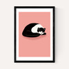 Cat Nap