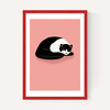Cat Nap