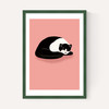 Cat Nap