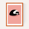Cat Nap