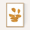 Leaves XI