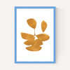 Leaves XI