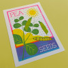 Pea Unframed Print