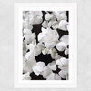 White beauty on White Wide White Frame