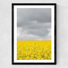 Grey and Yellow Fields Medium Black Frame