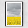 Grey and Yellow Fields Narrow Black Frame