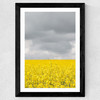 Grey and Yellow Fields Wide Black Frame