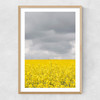 Grey and Yellow Fields Narrow Oak Frame