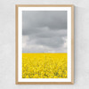 Grey and Yellow Fields Medium Oak Frame