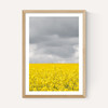 Grey and Yellow Fields
